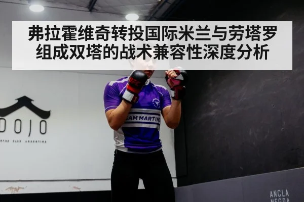 弗拉霍维奇转投国际米兰与劳塔罗组成双塔的战术兼容性深度分析