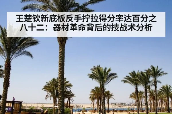 王楚钦新底板反手拧拉得分率达百分之八十二：器材革命背后的技战术分析